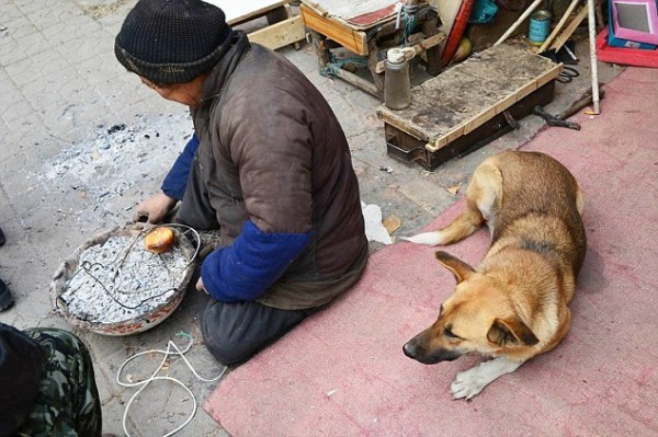 11855891_993770217386595_2139318751533183826_n