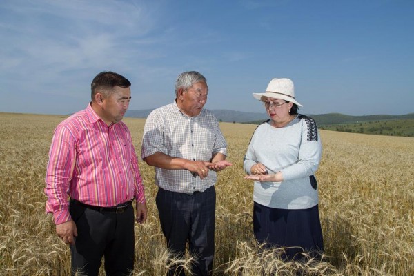 \"11923062_1047728555246774_102608863_n\"