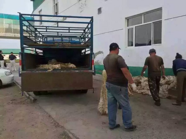 11960154_891088287627192_7014430021372086993_n