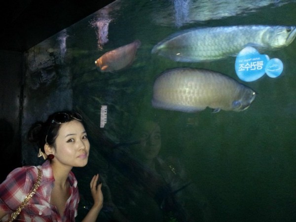 ba8ccd2a5de09456e545a01e22e77548