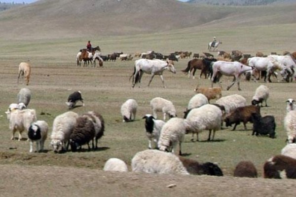 olloo_mn_1440137592_68340629d0d5756bbig