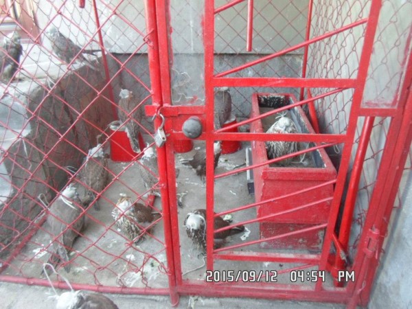 11143120_1620975618177660_2984290141401542317_o