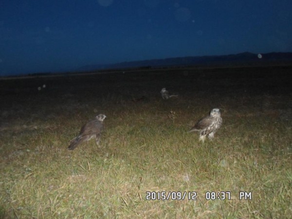 11200796_1620975644844324_2374659742753032966_n