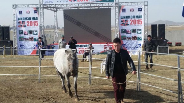 11863345_1061586423860987_6277530718984468100_n