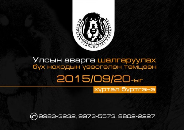 11950947_698132930317447_844044063_n