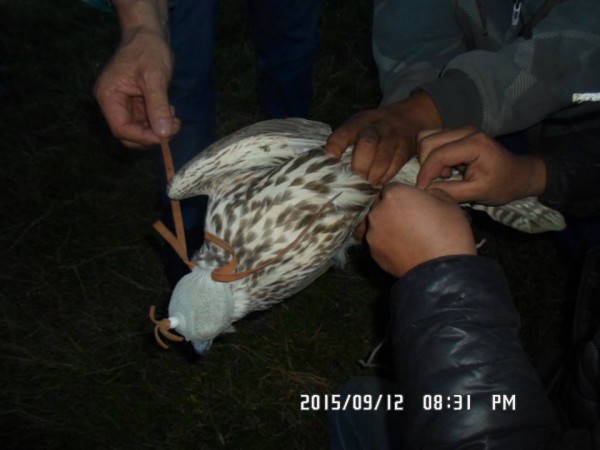 11988702_1620975611510994_169934738379557174_n