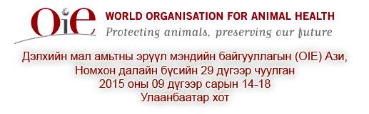 11997838_1056748751011421_1606485908_n