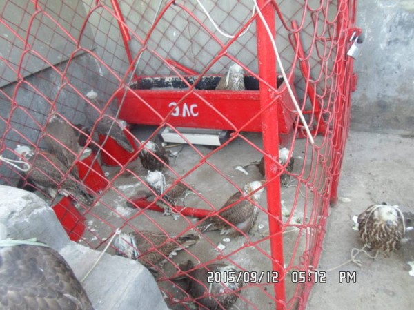 12002278_1620975614844327_5183007208257680789_n