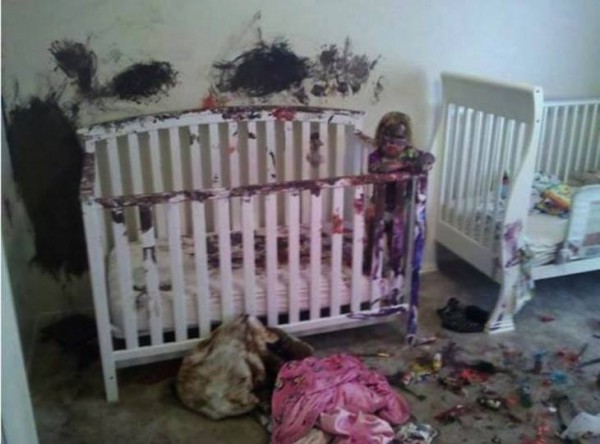 12004911_883839861663066_5472797545547886779_n