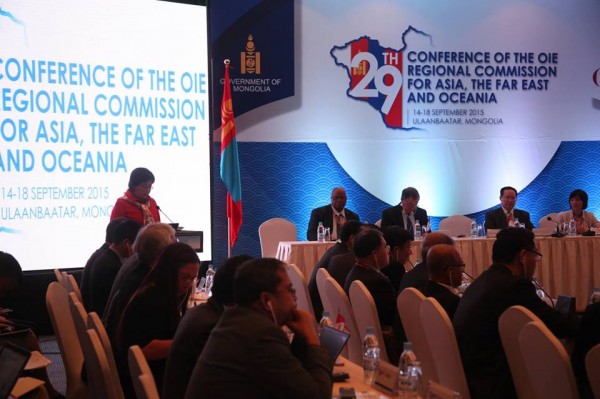 12007191_1057450487607914_218310551_n