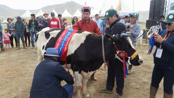 12011132_1061586373860992_1218081388414369272_n