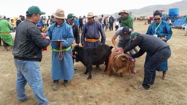 12036466_1061586437194319_7312649292204079155_n