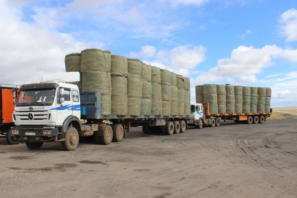 \"12042208_776986655744204_288056962_n_150929110540\"