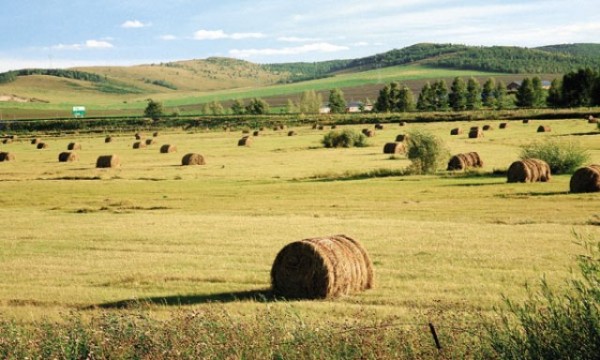 1647177433_150911142459