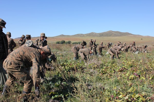 18d2m9s3ohn3u0fs2icqqsmdtd