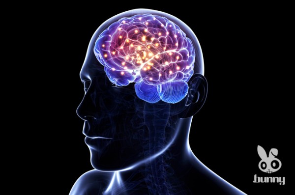 19a7151f38739bd4792a662d5a95e997