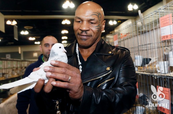 239384cbc6c9655e99ffb73ae8f187cb