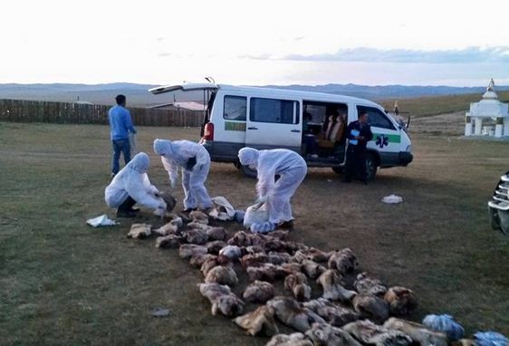 2eefo153q5r4nrrhum6kjqdgln