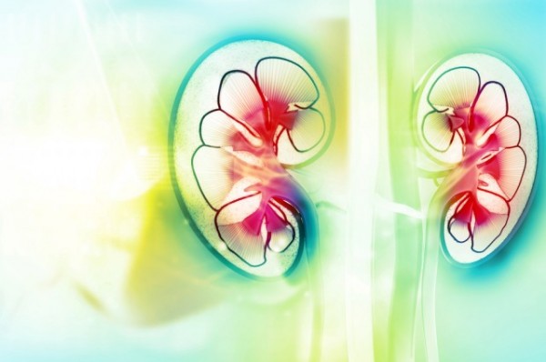 2hrorkqt4m54sqtt6njv1c6dde