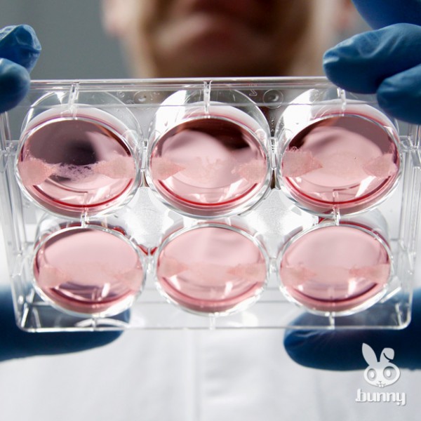 34892993577c87e128ec8faada8ce010