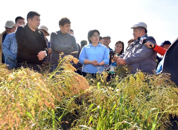 355da997fe5d527ec9ca8e061387ce6a