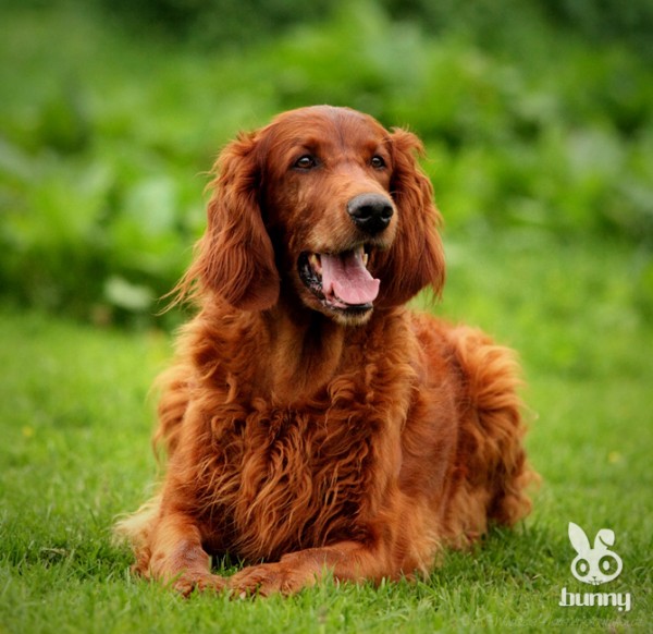 37a25d645da97bd31bcb9bbe9c0d1dcc