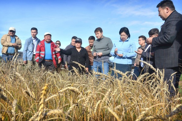 66e34cfc162647ad9bbda02683027d80