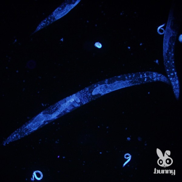 67085bab7faa8757544e4a81bab6bb2c