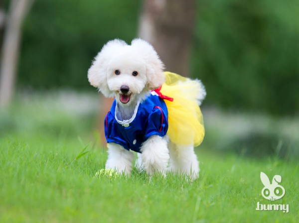 714b2f76a29740102b97b97be6abe91f