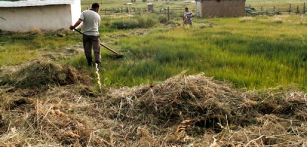 7b3a919c550a3b6f7f586f09b315b492