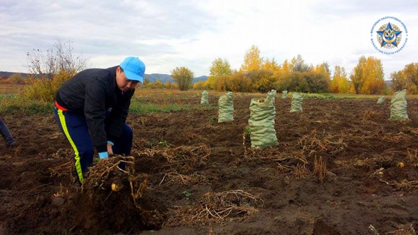 7c1553db-a69f-4588-97dd-b39ffd8e8c95