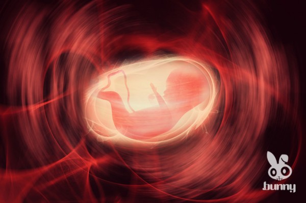 7f49513fa7736164b691a482aa691510