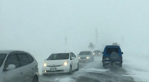 80fff208d9d82a1a8423862d57f896c1