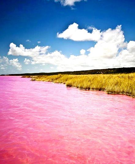 9209aa25f97d274462f79360e0a2eb30original