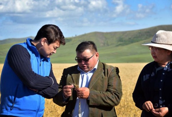 ab7aa96501b6b814bbeccdc6b12eb60ebig