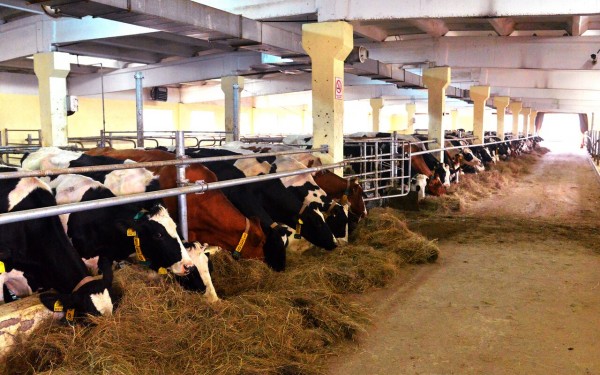 ba30708bbb9fb28424ecf553f646057f