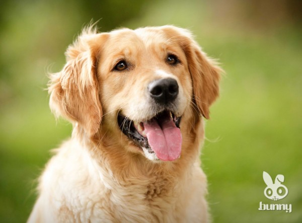 bba7d9ed7f6e65e1f89eba552a367638