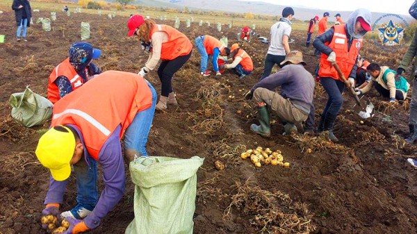 c1856d62-b0bd-4ec7-a3b1-948702d675c9