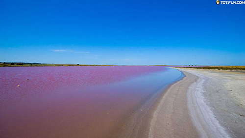 d3fef510089029ba5d966cc8cc883e1original