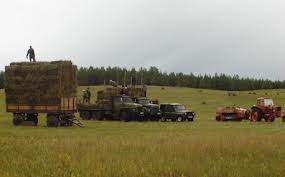 download_1_150901160223