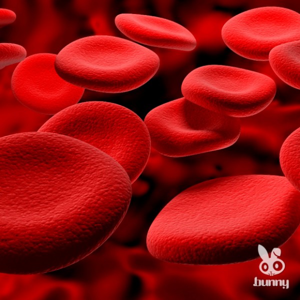 e2c17c6802b71bbef6ae24d45f36d546