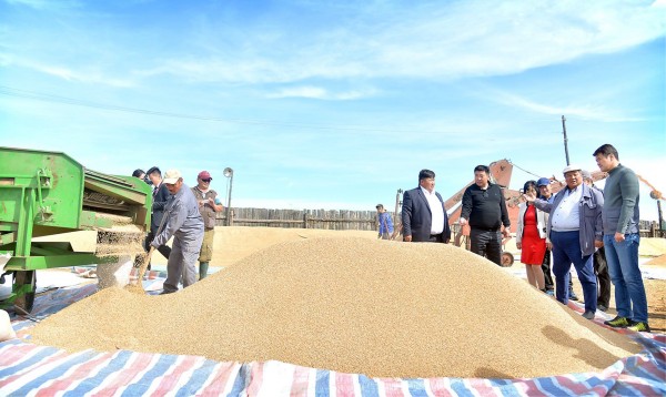 e8422112bb044b02084271f91bb6c1a2