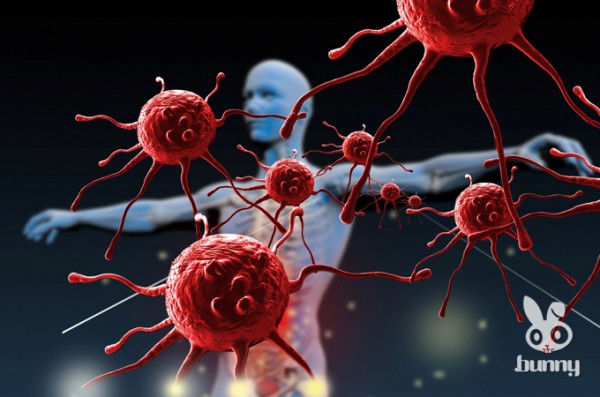 eeb5301b501183178576f37a7325f4e2