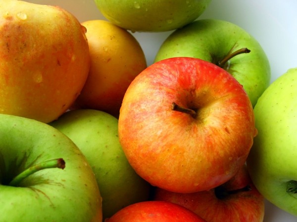fresh-apples-from-last-summer