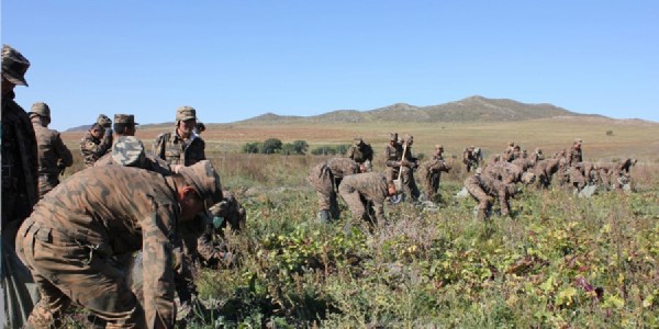 olloo_mn_1443433647_tsereg1