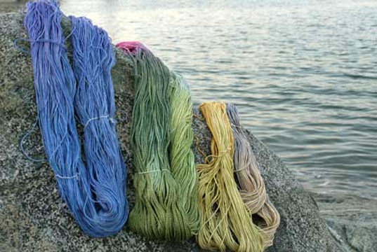 seacell-4