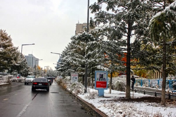 00d94d044e13f342478ccfe296489f38