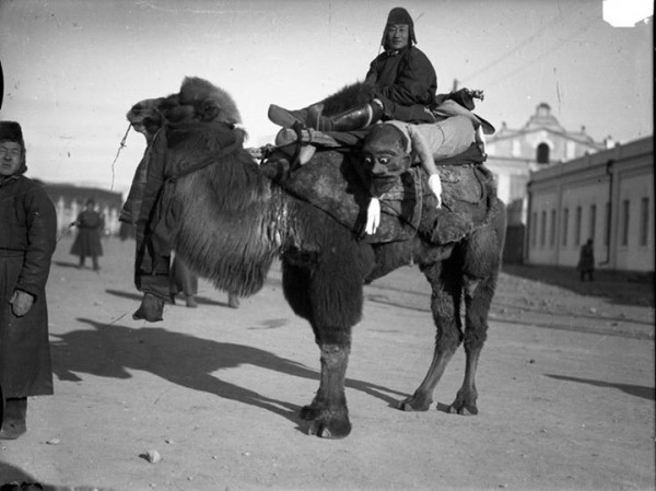 \"10258110_741775849207575_1106901317110418660_n\"