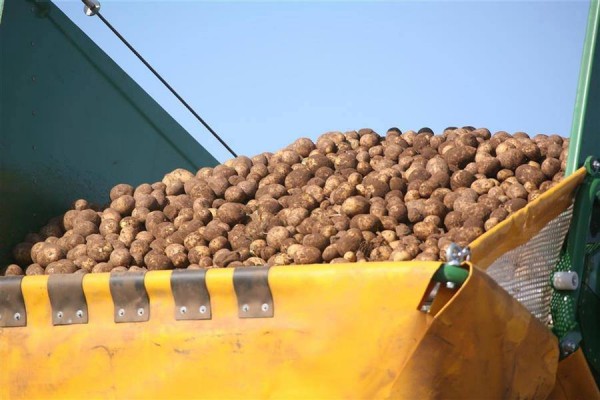 12067778_1069133263106303_661652777_n