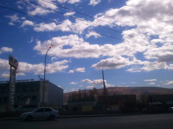 12079543_913418762079738_6394310238232598605_n